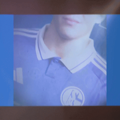 Football Soccer GIF by FC Schalke 04