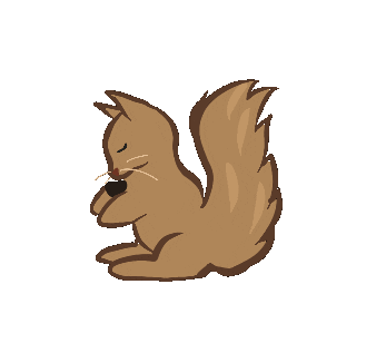 Squirrel Fur Sticker