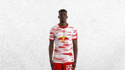 Looking Big Eyes GIF by RB Leipzig