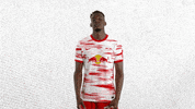 Come Here GIF by RB Leipzig