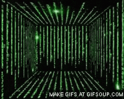 coding GIF
