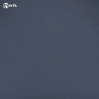 Happy Tennis GIF by WTA
