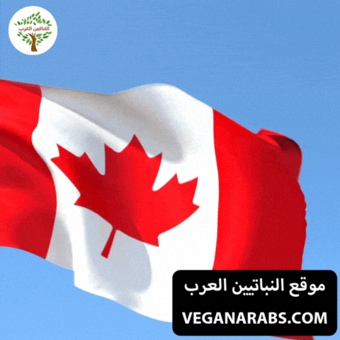 Canadian GIF by VeganArabs