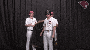 Baseball GIF by CUCougars