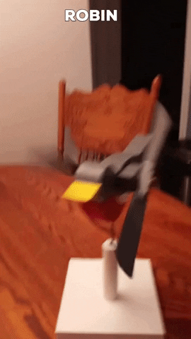 everything-social-media giphygifmaker robin whirligig windblowers saskatchewan smallprairiefarm GIF