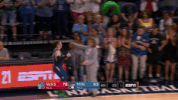 lindsay whalen player GIF by WNBA