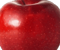 Marketing Conteudo GIF by Prove Online