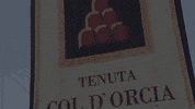 Coldorcia GIF by OENOFOROS