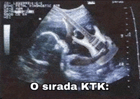 Ktk GIF