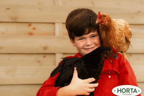lievendendauw giphygifmaker foto honden wdd GIF