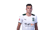 Bmg Fohlen Sticker by Borussia Mönchengladbach