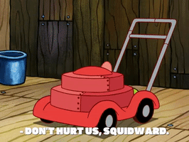 season 7 the curse of bikini bottom GIF by SpongeBob SquarePants