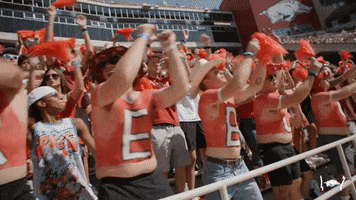 College Football GIF by Arkansas Razorbacks