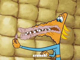 season 4 whale of a birthday GIF by SpongeBob SquarePants