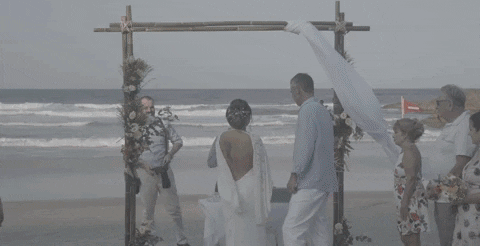 mathiasluz giphyupload GIF