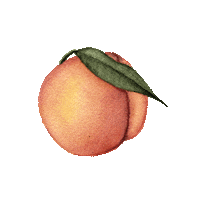 Impeach Peaches And Cream Sticker