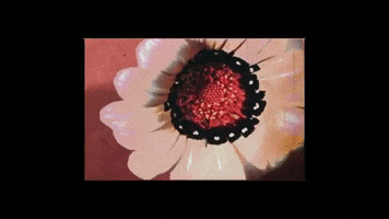 Music Video Vintage GIF
