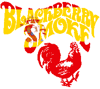 Southern Rock Band Sticker by Blackberry Smoke
