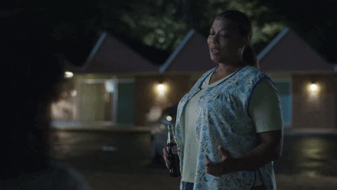 TheAvenue_Film giphyupload adventure florida wisdom GIF