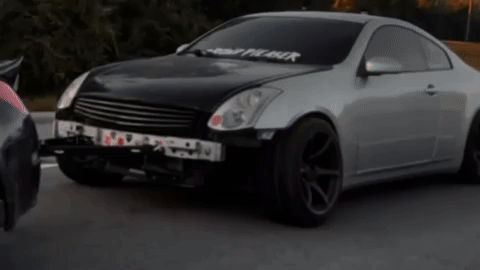 thvmcs tsz tsznola trendsetterz thvmcs GIF