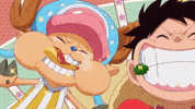 One Piece Law GIF by Toei Animation