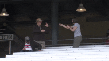 truelove dancecompetition GIF by Kane County Cougars