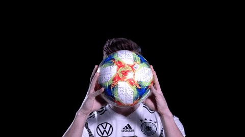 dfb-teams giphyupload ball germany dfb GIF