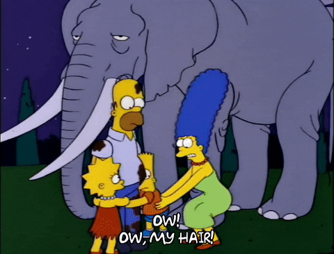 homer simpson GIF