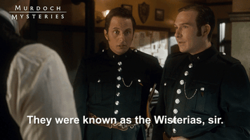 murdoch mysteries mystery GIF