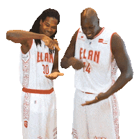 Check Camara Sticker by Elan Chalon