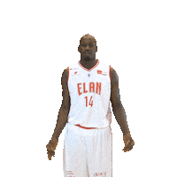 Celebration Camara Sticker by Elan Chalon