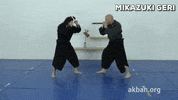 martial arts fight GIF by AKBAN Academy