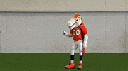 Denver Broncos Football GIF by Broncos