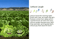 Fruit Veggies GIF