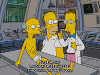homer simpson GIF