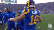 2018 Nfl Football GIF by NFL