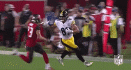Pittsburgh Steelers GIF by NFL