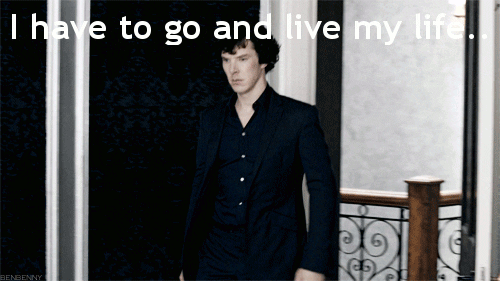 sherlock i have no life GIF
