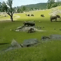 madmoizelledotcom  GIF