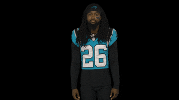 North Carolina Idk GIF by Carolina Panthers