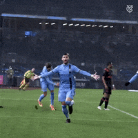 New York City Fc Celebration GIF by NYCFC