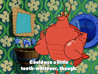 season 3 GIF by SpongeBob SquarePants