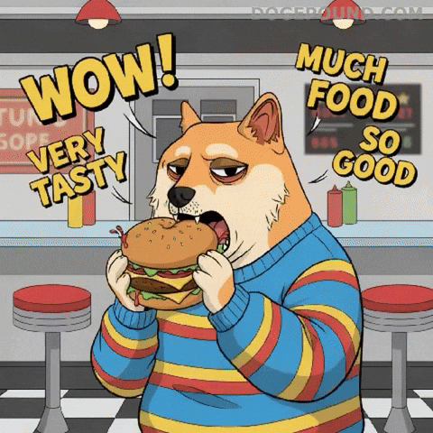 Shiba Inu Wow GIF by Doge Pound