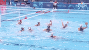 Olympic Games Sport GIF by NBC Olympics