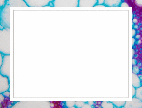 instituteforfxmed giphyupload GIF