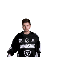 hattrick-brno sport floorball salibandy innebandy Sticker
