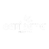 Caribana Sticker by caribana_festival