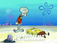 season 6 porous pockets GIF by SpongeBob SquarePants
