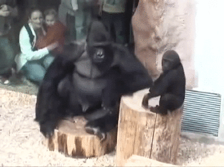 dad being GIF