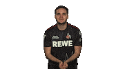 Sk Gaming Fifa Sticker by Bundesliga